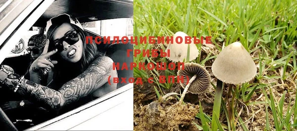 дурь Арсеньев
