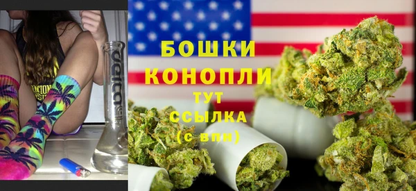 дурь Арсеньев