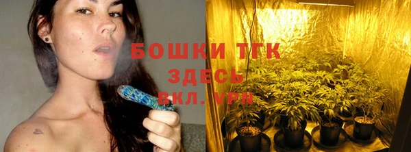 дурь Арсеньев